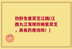 仿野生紫灵芝江西(江西九江发现珍稀紫灵芝，具有药用功效！)