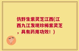 仿野生紫灵芝江西(江西九江发现珍稀紫灵芝，具有药用功效！)
