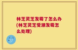 林芝灵芝发霉了怎么办(林芝灵芝受潮发霉怎么处理)