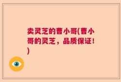 卖灵芝的曹小哥(曹小哥的灵芝，品质保证！)