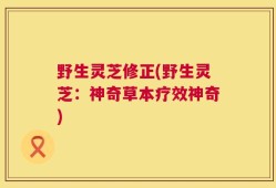 野生灵芝修正(野生灵芝：神奇草本疗效神奇)