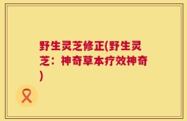 野生灵芝修正(野生灵芝：神奇草本疗效神奇)