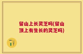 留山上长灵芝吗(留山顶上有生长的灵芝吗)