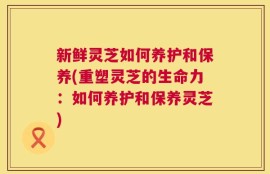 新鲜灵芝如何养护和保养(重塑灵芝的生命力：如何养护和保养灵芝)