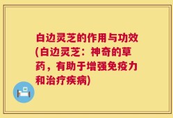 白边灵芝的作用与功效(白边灵芝：神奇的草药，有助于增强免疫力和治疗疾病)