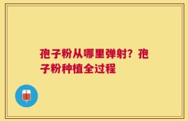 孢子粉从哪里弹射？孢子粉种植全过程