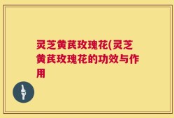灵芝黄芪玫瑰花(灵芝黄芪玫瑰花的功效与作用