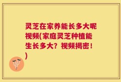 灵芝在家养能长多大呢视频(家庭灵芝种植能生长多大？视频揭密！)