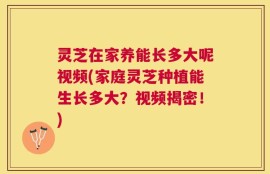灵芝在家养能长多大呢视频(家庭灵芝种植能生长多大？视频揭密！)