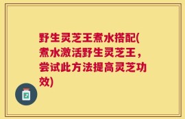 野生灵芝王煮水搭配(煮水激活野生灵芝王，尝试此方法提高灵芝功效)