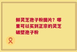 鲜灵芝孢子粉图片？哪里可以买到正宗的灵芝破壁孢子粉