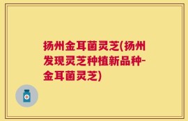 扬州金耳菌灵芝(扬州发现灵芝种植新品种-金耳菌灵芝)