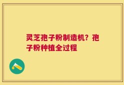 灵芝孢子粉制造机？孢子粉种植全过程