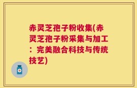 赤灵芝孢子粉收集(赤灵芝孢子粉采集与加工：完美融合科技与传统技艺)