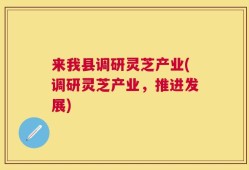 来我县调研灵芝产业(调研灵芝产业，推进发展)