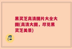 黑灵芝高清图片大全大图(高清大图，尽览黑灵芝美景)