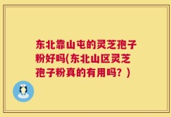 东北靠山屯的灵芝孢子粉好吗(东北山区灵芝孢子粉真的有用吗？)
