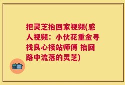 把灵芝抬回家视频(感人视频：小伙花重金寻找良心接站师傅 抬回路中流落的灵芝)