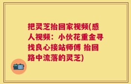 把灵芝抬回家视频(感人视频：小伙花重金寻找良心接站师傅 抬回路中流落的灵芝)