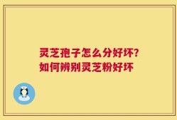 灵芝孢子怎么分好坏？如何辨别灵芝粉好坏