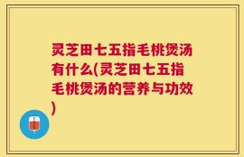 灵芝田七五指毛桃煲汤有什么(灵芝田七五指毛桃煲汤的营养与功效)