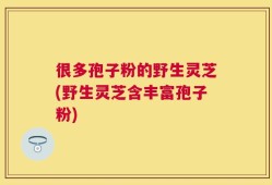 很多孢子粉的野生灵芝(野生灵芝含丰富孢子粉)