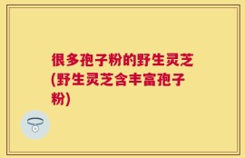 很多孢子粉的野生灵芝(野生灵芝含丰富孢子粉)