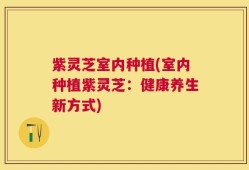 紫灵芝室内种植(室内种植紫灵芝：健康养生新方式)