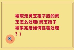 被取走灵芝孢子后的灵芝怎么处理(灵芝孢子被采完后如何妥善处理？)