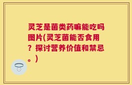 灵芝是菌类药嘛能吃吗图片(灵芝菌能否食用？探讨营养价值和禁忌。)