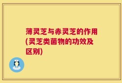 薄灵芝与赤灵芝的作用(灵芝类菌物的功效及区别)