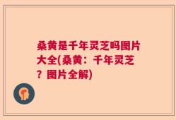 桑黄是千年灵芝吗图片大全(桑黄：千年灵芝？图片全解)