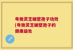 粤微灵芝破壁孢子功效(粤微灵芝破壁孢子的健康益处