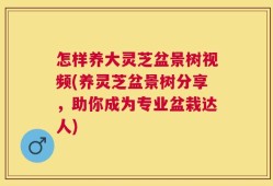 怎样养大灵芝盆景树视频(养灵芝盆景树分享，助你成为专业盆栽达人)