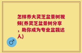 怎样养大灵芝盆景树视频(养灵芝盆景树分享，助你成为专业盆栽达人)