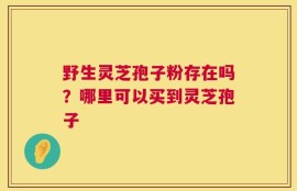 野生灵芝孢子粉存在吗？哪里可以买到灵芝孢子