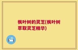 枫叶树的灵芝(枫叶树萃取灵芝精华)