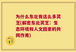 为什么东北有这么多灵芝(解密东北灵芝：生态环境和人文因素的共同作用)