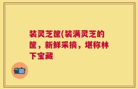 装灵芝筐(装满灵芝的筐，新鲜采摘，堪称林下宝藏