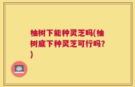 柚树下能种灵芝吗(柚树底下种灵芝可行吗？)