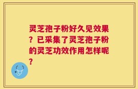 灵芝孢子粉好久见效果？已采集了灵芝孢子粉的灵芝功效作用怎样呢？