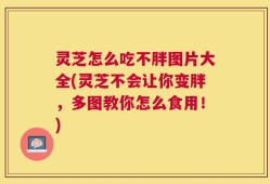灵芝怎么吃不胖图片大全(灵芝不会让你变胖，多图教你怎么食用！)