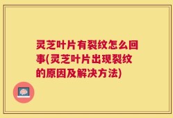 灵芝叶片有裂纹怎么回事(灵芝叶片出现裂纹的原因及解决方法)