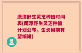 鹰潭野生灵芝种植时间表(鹰潭野生灵芝种植计划公布，生长周期有望缩短)