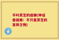 不叼灵芝的貔貅(神话兽貔貅：不只是灵芝的吉祥之物)