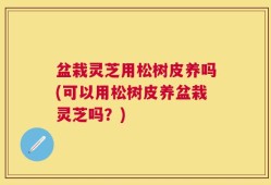 盆栽灵芝用松树皮养吗(可以用松树皮养盆栽灵芝吗？)