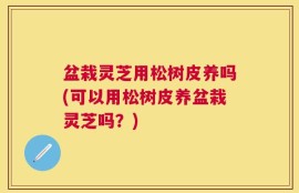 盆栽灵芝用松树皮养吗(可以用松树皮养盆栽灵芝吗？)