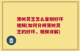 薄树灵芝怎么鉴别好坏视频(如何分辨薄树灵芝的好坏，视频详解)