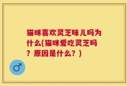 猫咪喜欢灵芝味儿吗为什么(猫咪爱吃灵芝吗？原因是什么？)