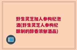 野生灵芝加人参枸杞泡酒(野生灵芝人参枸杞酿制的醇香浓郁酒品)